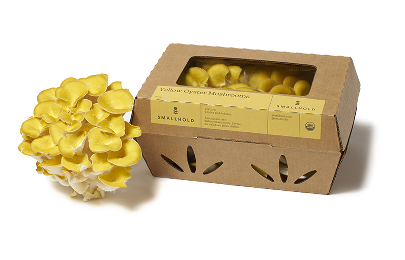 Smallhold expands into Sprouts Farmers Markets across western states